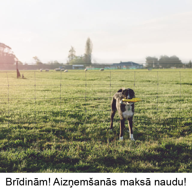 Brīdinām! Aizņemšanās maksā naudu.